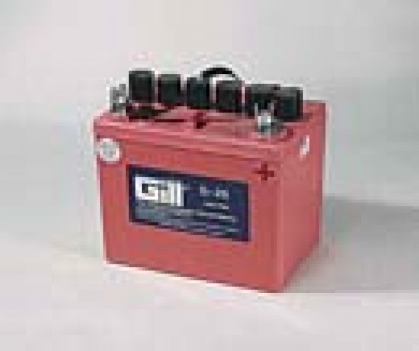 Battery 12v - Gill Battery - G25