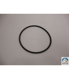 O-ring/Anel de vedação/Anillo de Sello