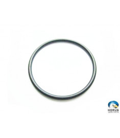 O-ring - Hartzell Engine Technologies - XA744AB