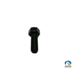 Bolt - Hardware - SA536379