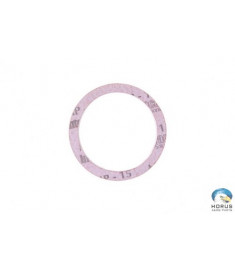 Gasket - Lycoming - LW12681