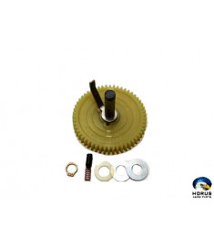 Gear - Continental - 10-682014