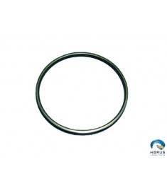 Gasket - Rolls Royce Alisson - 6893603