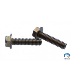 Bolt - Continental - 649083-8-11