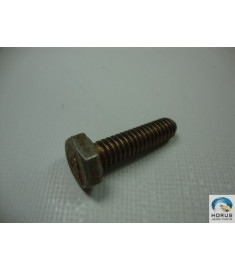 Bolt/Parafuso/Tornillo