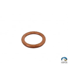 Gasket - Lycoming - 06E19769-0.63