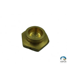 Plug - Lycoming - 383493