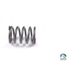 Spring - Lycoming - LW-11800