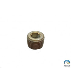 Plug - Lycoming - STD784