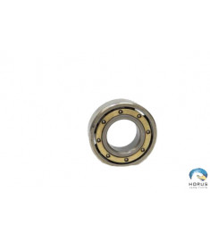 Bearing - Bell - 206-040-206-001