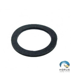 Backup - Robinson - S33861-0112-29