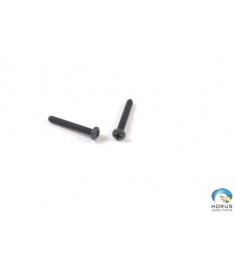 Screw - Robinson - MS35214-31