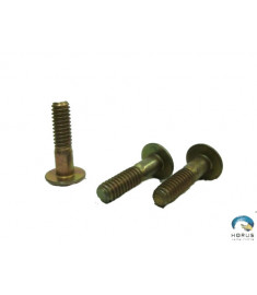Screw - Robinson - AN525-832R10