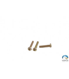 Screw - Robinson - MS35206-232