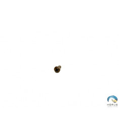 Screw - Robinson - MS27039C0806