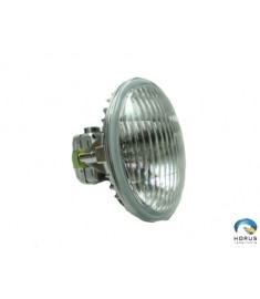 Light - Robinson - B557-2