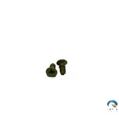 Screw - Robinson - MS24693-S2