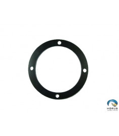 Gasket - Robinson - B425-1