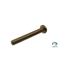 Screw - Robinson - NAS603-24P