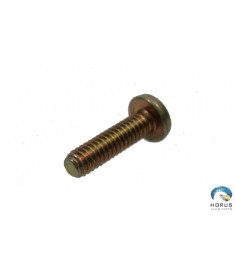 Screw - Robinson - NAS602-10P