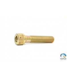 Screw - Robinson - NAS1351-3-6P