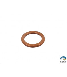 Gasket - Robinson - 06E19769-0.91