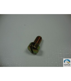 Screw/Parafuso/Tornillo