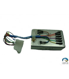 Low RPM Unit - Robinson - A569-9