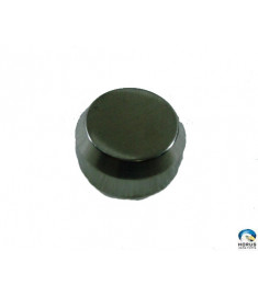Cap - Robinson - MT556-6