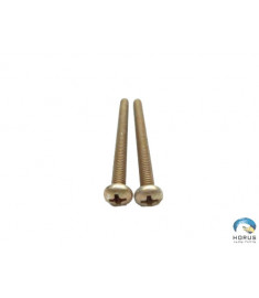 Screw - Robinson - MS35206-253