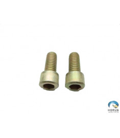 Screw - Robinson - NAS1352-5-12P