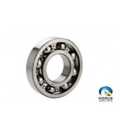 Bearing - 6004.2ZR