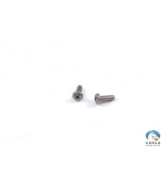 Screw - Robinson - MS27039C0807