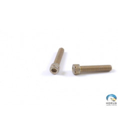 Screw Socket Cap - Robinson - NAS1352-4H20P