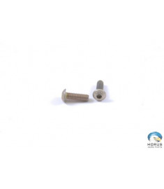 Screw - Robinson - A142-1