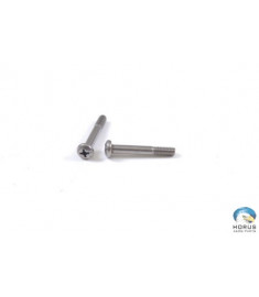Screw - Robinson - MS27039C0818