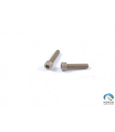Screw - Robinson - NAS1352-08-12P