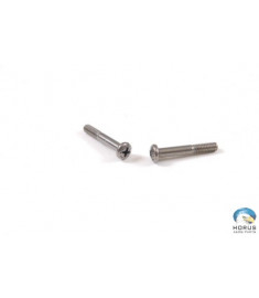 Screw - Robinson - MS27039C0816