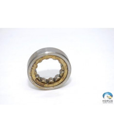 Bearing - Bell - 206-040-031-001