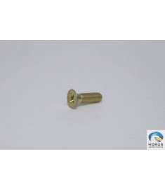 Screw/Parafuso/Tornillo