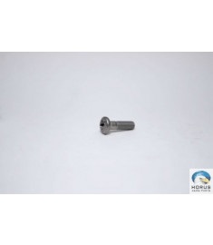 Screw/Parafuso/Tornillo