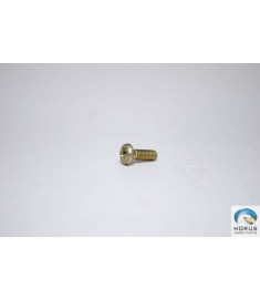 Screw/Parafuso/Tornillo