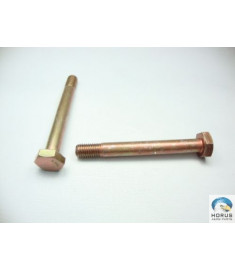 Bolt/Parafuso/Tornillo