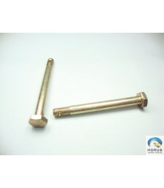 Bolt/Parafuso/Tornillo