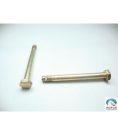 Bolt/Parafuso/Tornillo