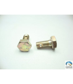 Bolt/Parafuso/Tornillo