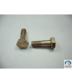 Bolt/Parafuso/Tornillo