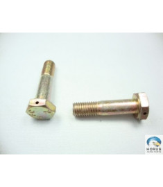 Bolt/Parafuso/Tornillo