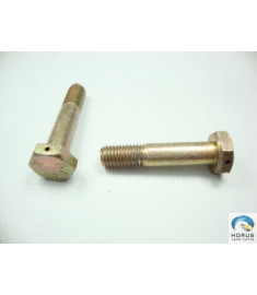 Bolt/Parafuso/Tornillo
