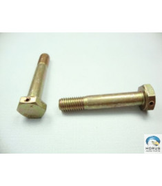 Bolt/Parafuso/Tornillo